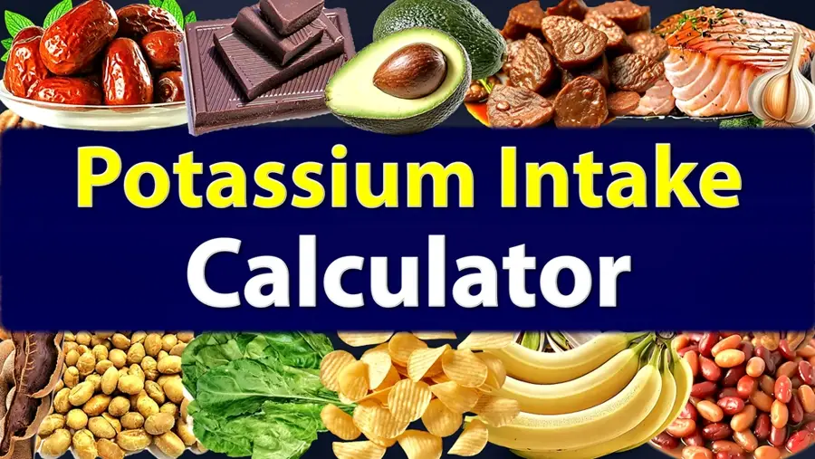 potassium intake calculator